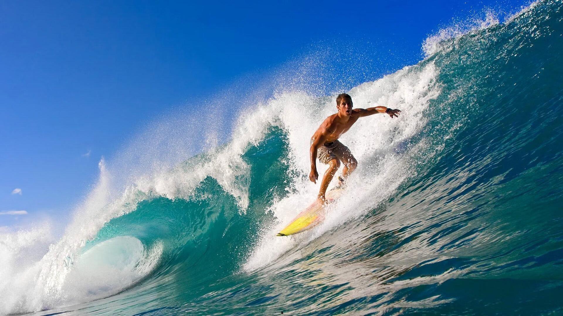 深圳烈豹客场鏖战告捷 抢五生死战昂首挺进四强